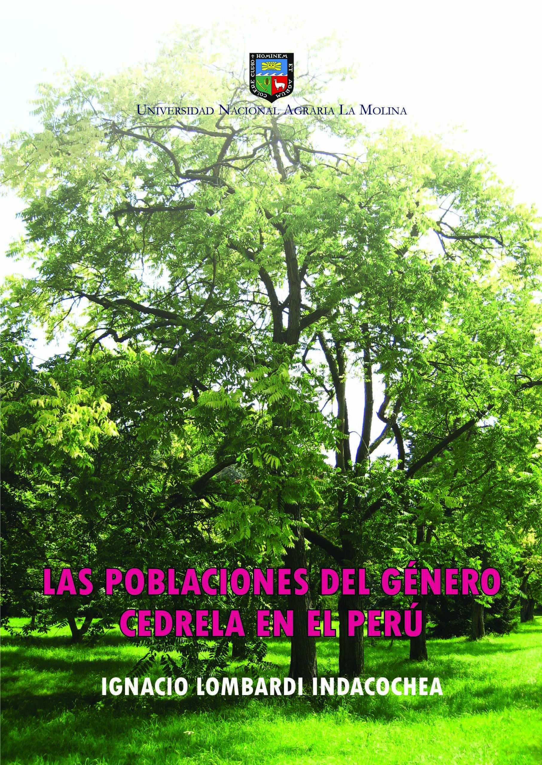 POBLACIONES-DE-CEDRELA111-scaled POBLACIONES-DE-CEDRELA111-scaled